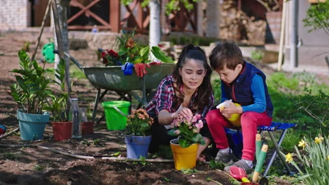 Fun time mom and small son in the garden they playing with a sprinkler pretty Video stock 135664246
