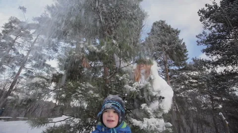 Fun, tree, snow. 動画素材 49393273