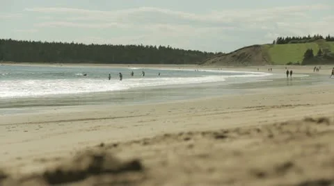 Fun in the Waves Vidéo 11992328