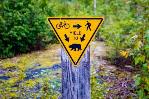 Fun yield to bears sign warning on trail Stock Photos