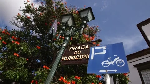 Funchal, Madeira Stock Footage 142129995