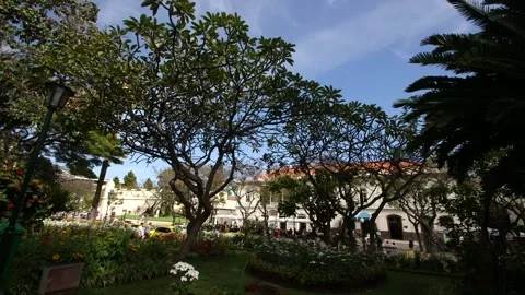 Funchal Madeira 스톡 동영상 142130030