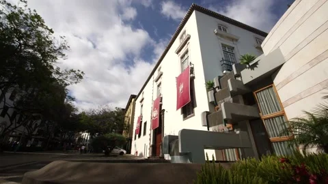 Funchal, Madeira Stock Footage 142130094