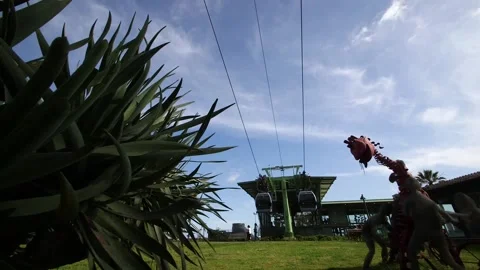 Funchal, Madeira Stock Footage 142130141