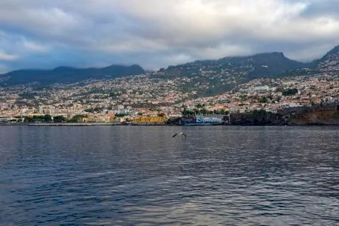 Funchal View, Madeira Stock Photos