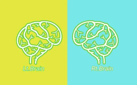Function of left and right brain. 스톡 일러스트