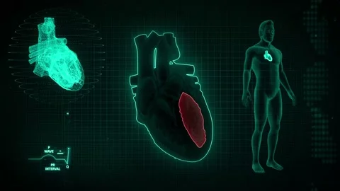 Function of left ventricle Video stock 138512021