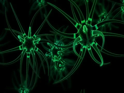 Function of a neuron Stock Footage 77416168