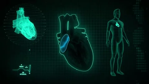 Function of Right Atrium in Human Heart Half 스톡 동영상 138512236