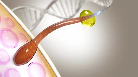 The function of serum or vitamin T and helps make hair soft and smooth in 3D Stock Footage 296476491