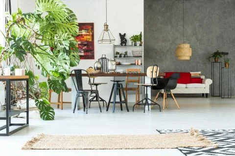 Functional apartment with dining table 库存照片