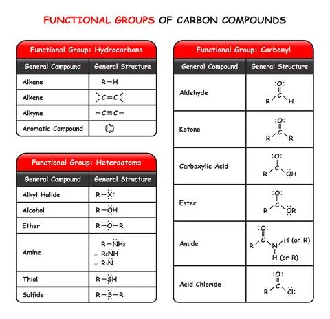 Functional Groups of Carbon Compounds Infographic Diagram for chemistry science Stock Illustration