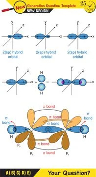 Functional groups commonly found in organic chemistry Stock Illustration