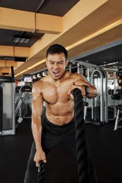 Functional training concept 写真素材