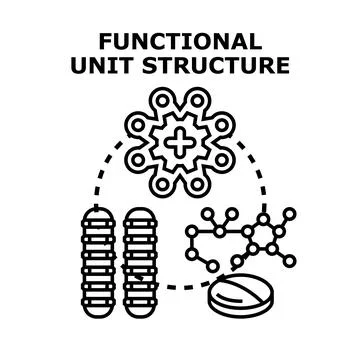 Functional unit structure concept exploring molecular elements and processes Illustrazione stock