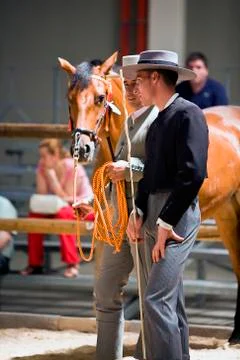 Functionality testing of horses of purebred spanish, spain 写真素材