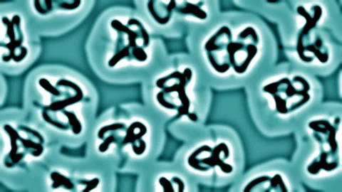 The functioning cells of the body move and divide. Stock Footage 108556414