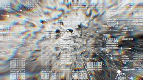 The functioning of complex computational structures against the backdrop of an 動画素材 242263755