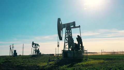 Functioning oil pumpjacks in a large oil field Video stock 144099184