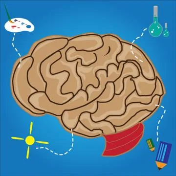Functions Of Brain Concept 스톡 일러스트