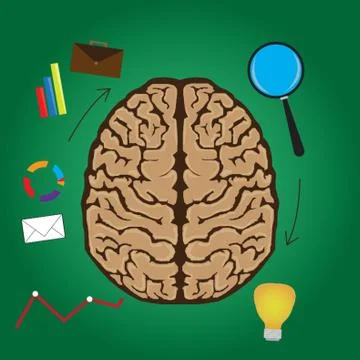 Functions Of Brain Concept Stock Illustration