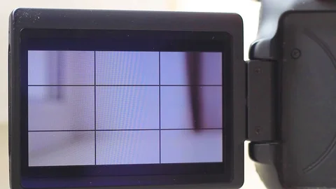 Functions of the firmware Magic Lantern on the camera canon Stock Footage 103468894