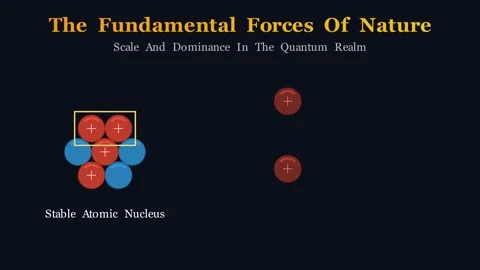 The fundamental forces of nature 動画素材 338446182