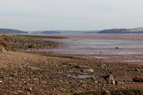 Fundy at low tide. Stock Photos