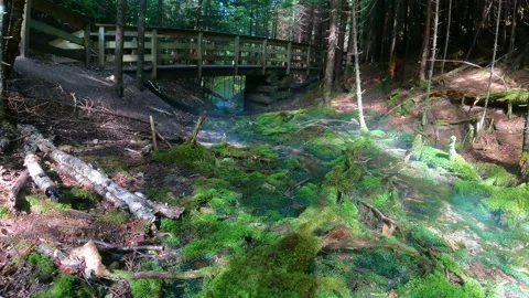 Fundy National Park Of Canada, Bay of Fundy, New Brunswick, 4b 库存影片 223066053