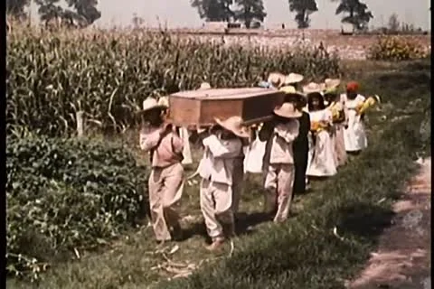Funeral procession walking through field Stock Footage 11353244