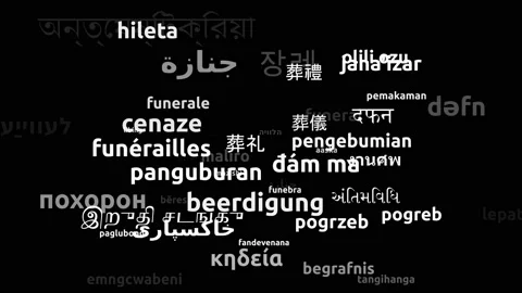 Funeral Translated in 52 Worldwide Languages Endless Looping 3d Zooming Wordc Stock Footage 145223885