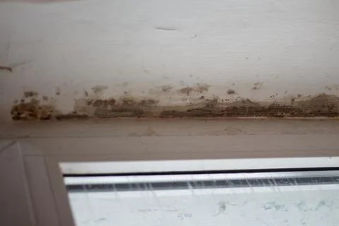 Fungal mold in the corner of the window. The consequences of improper ventila Stock Photos