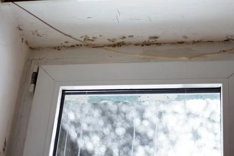Fungal mold in the corner of the window. The consequences of improper ventila Stock Photos
