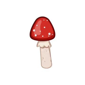 Fungi fly agaric cartoon vector illustration Illustrazione stock