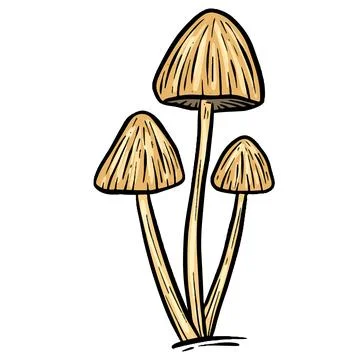 A Fungi Mushroom or Toadstool Vector Illustration Cartoon Wild 스톡 일러스트