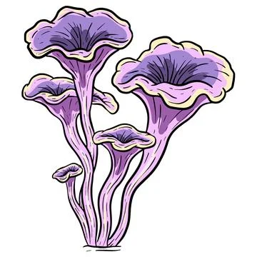 A Fungi Mushroom or Toadstool Vector Illustration Cartoon Wild 스톡 일러스트