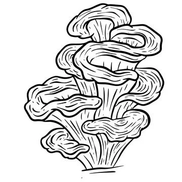 A Fungi Mushroom or Toadstool Vector Illustration Cartoon Wild 스톡 일러스트