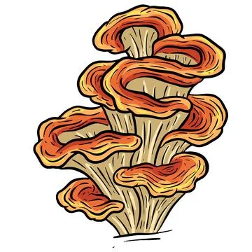 A Fungi Mushroom or Toadstool Vector Illustration Cartoon Wild 스톡 일러스트