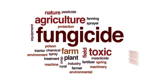 Fungicide animated word cloud, text design animation. Stock Footage 79775609