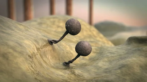 Fungus Stock Footage 45444324