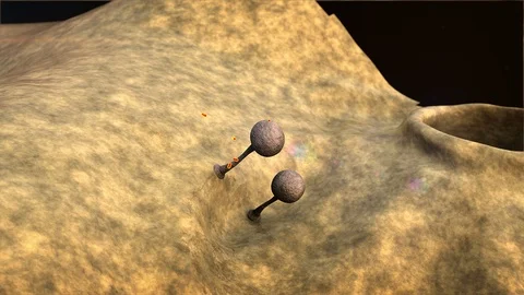 Fungus on the leather surface Stock-Footage 122849807