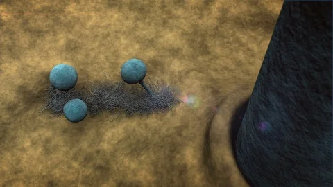 Fungus on the leather surface Stock Footage 123541281