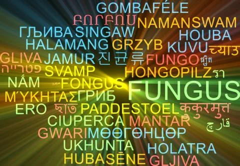 Fungus multilanguage wordcloud background concept glowing Illustrazione stock