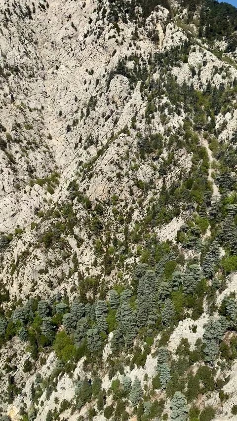 Funicular ascent to the mountain. The Taurus Mountain Range. Stock Footage 342129429