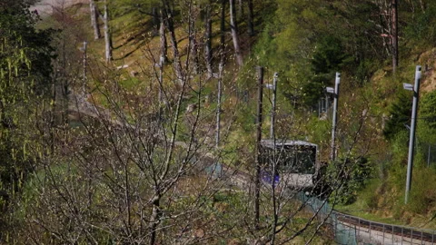 Funicular Cable Car Descending Forested Hillside in Bergen, Norway on Sunny Day Stock Footage 345389688