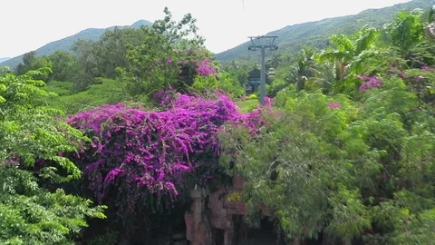 Funicular Stock Footage 98730075