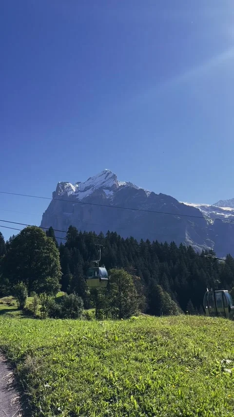 Funicular Moving Through Alpine Landscape Stock Footage 329250453