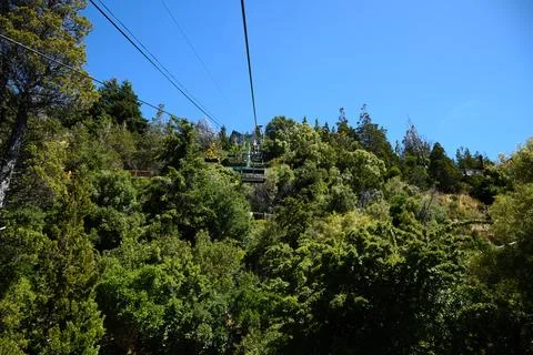 Funicular over the forest on the mountainside. Dense forest, view from above. Stock Photos