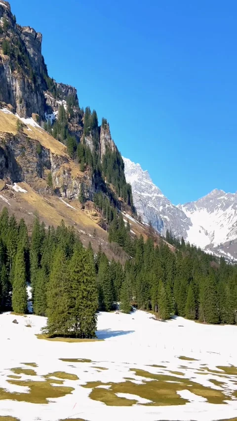 Funicular route through the pine forest Vidéo 209753668
