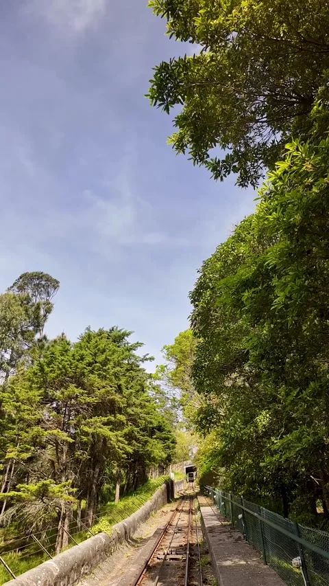 Funicular track ascending through forest in Viana do Castelo, Portugal 库存影片 332368880